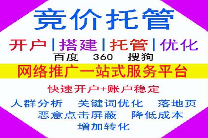 百度优化推广案例剖析：某电商平台的成功之路